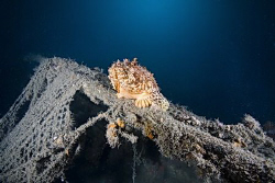 scorpionfish on sundeck by Miro Polensek 
